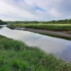 Riverside Walks - Haverfordwest