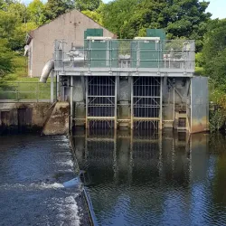 Riverside Walks - Haverfordwest