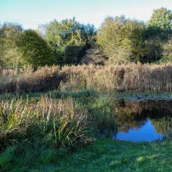 East Town Park - Haverhill