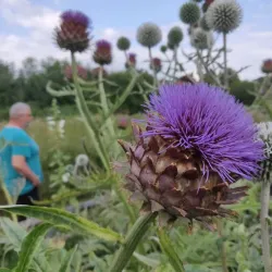 Haverhill Community Woodland - Haverhill