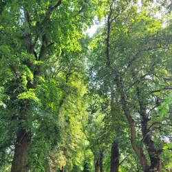 Haverhill Community Woodland - Haverhill