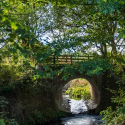 Haverhill Community Woodland - Haverhill