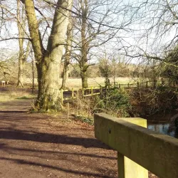 Haverhill Golf Club - Haverhill