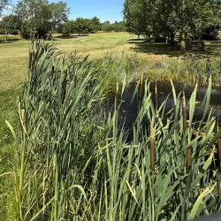 Haverhill Golf Club - Haverhill