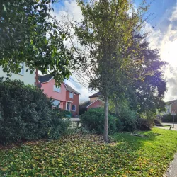 Haverhill Market - Haverhill