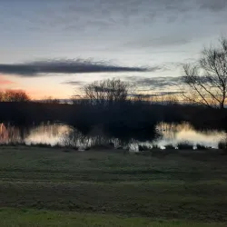 Haverhill Market - Haverhill