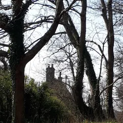 Haverhill Market - Haverhill