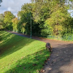 Castle Green - Hereford