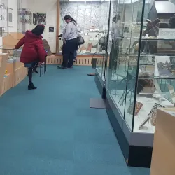 Hereford Museum and Art Gallery - Hereford