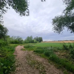 River Wye Walks - Hereford