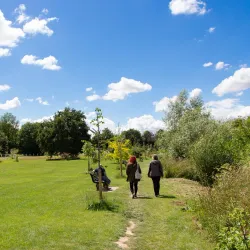 River Wye Walks - Hereford