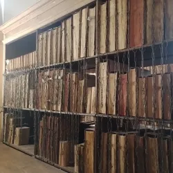 The Mappa Mundi and Chained Library - Hereford