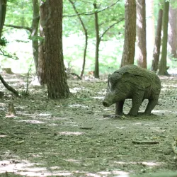 Broxbourne Woods National Nature Reserve - Hertfordshire