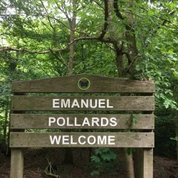 Broxbourne Woods National Nature Reserve - Hertfordshire