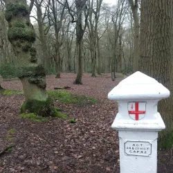 Broxbourne Woods National Nature Reserve - Hertfordshire