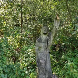 Broxbourne Woods National Nature Reserve - Hertfordshire