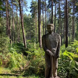 Broxbourne Woods National Nature Reserve - Hertfordshire