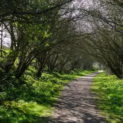 Rye Meads Nature Reserve - Hertfordshire