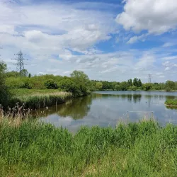 Rye Meads Nature Reserve - Hertfordshire