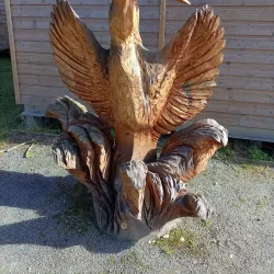 Rye Meads Nature Reserve - Hertfordshire