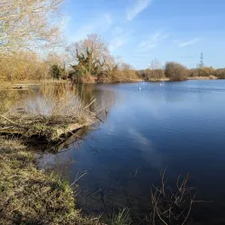 Rye Meads Nature Reserve - Hertfordshire