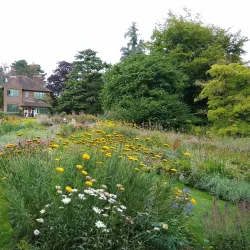 Shaw's Corner - Hertfordshire