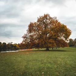 Verulamium Park - Hertfordshire