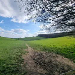 Hughenden Manor - High Wycombe