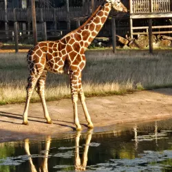 The Chilterns Area of Outstanding Natural Beauty - High Wycombe