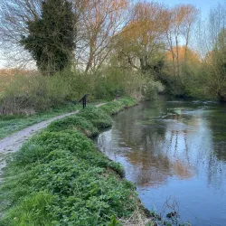 The Rye Park - High Wycombe