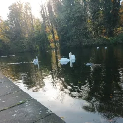 The Rye Park - High Wycombe