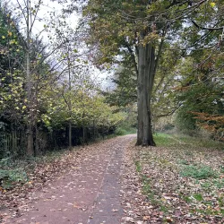 The Rye Park - High Wycombe
