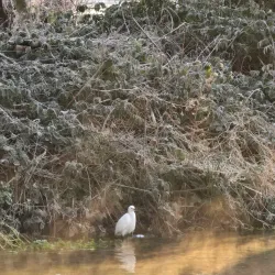 The Rye Park - High Wycombe