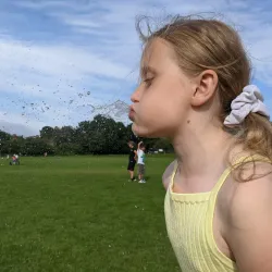 Bennetts Field - Horsham