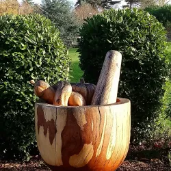 Horsham Park - Horsham