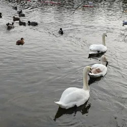 Southwater Country Park - Horsham