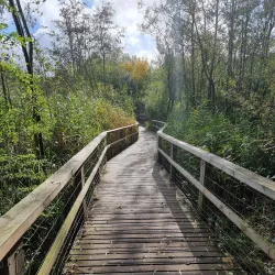 Southwater Country Park - Horsham