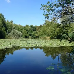 Southwater Country Park - Horsham