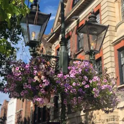 The Carfax - Horsham