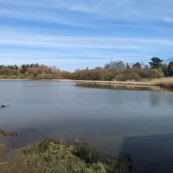 Warnham Local Nature Reserve - Horsham