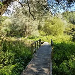 Warnham Local Nature Reserve - Horsham