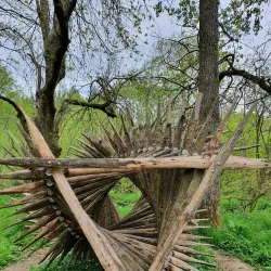 Warnham Local Nature Reserve - Horsham