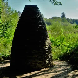 Warnham Local Nature Reserve - Horsham