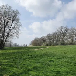 Warnham Local Nature Reserve - Horsham