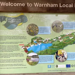 Warnham Local Nature Reserve - Horsham