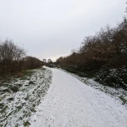 Hounslow Heath - Hounslow