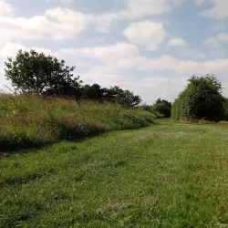 Hounslow Heath - Hounslow
