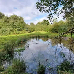 Hounslow Heath - Hounslow