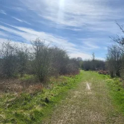 Hounslow Heath - Hounslow