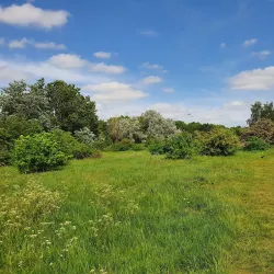 Hounslow Heath - Hounslow